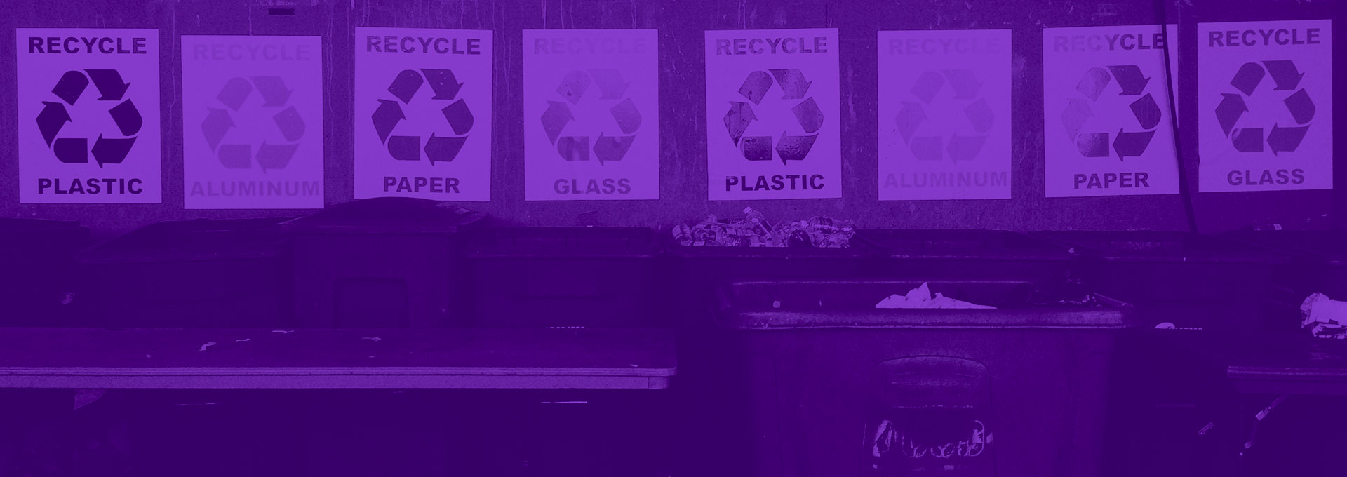 Recycling in the Workplace: Are You Doing It Right?